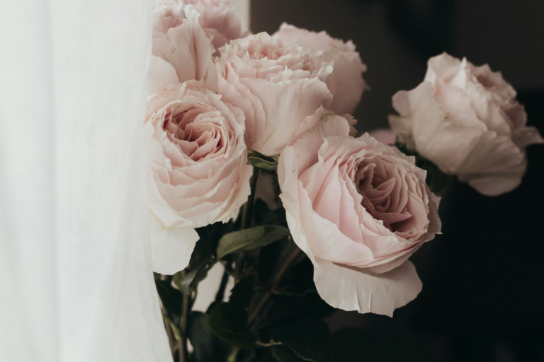 To the girls waiting for marriage